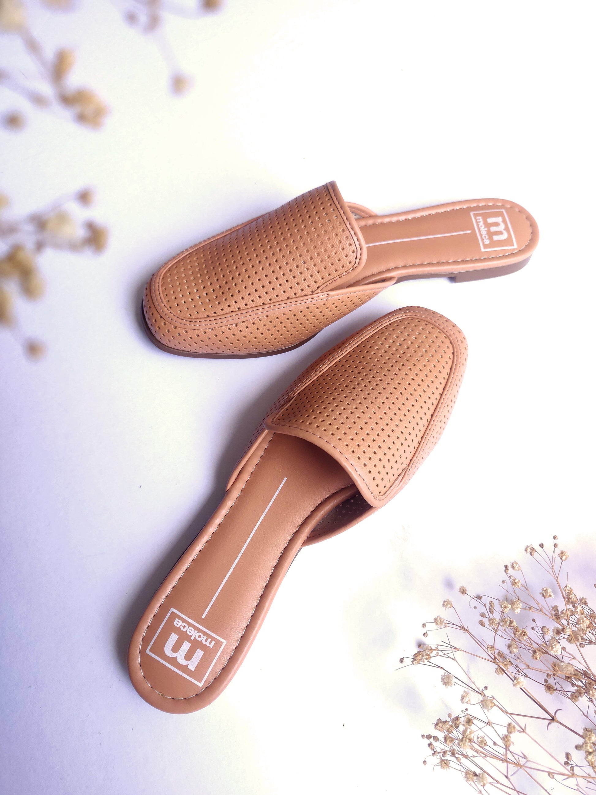 Mules camel Moleca