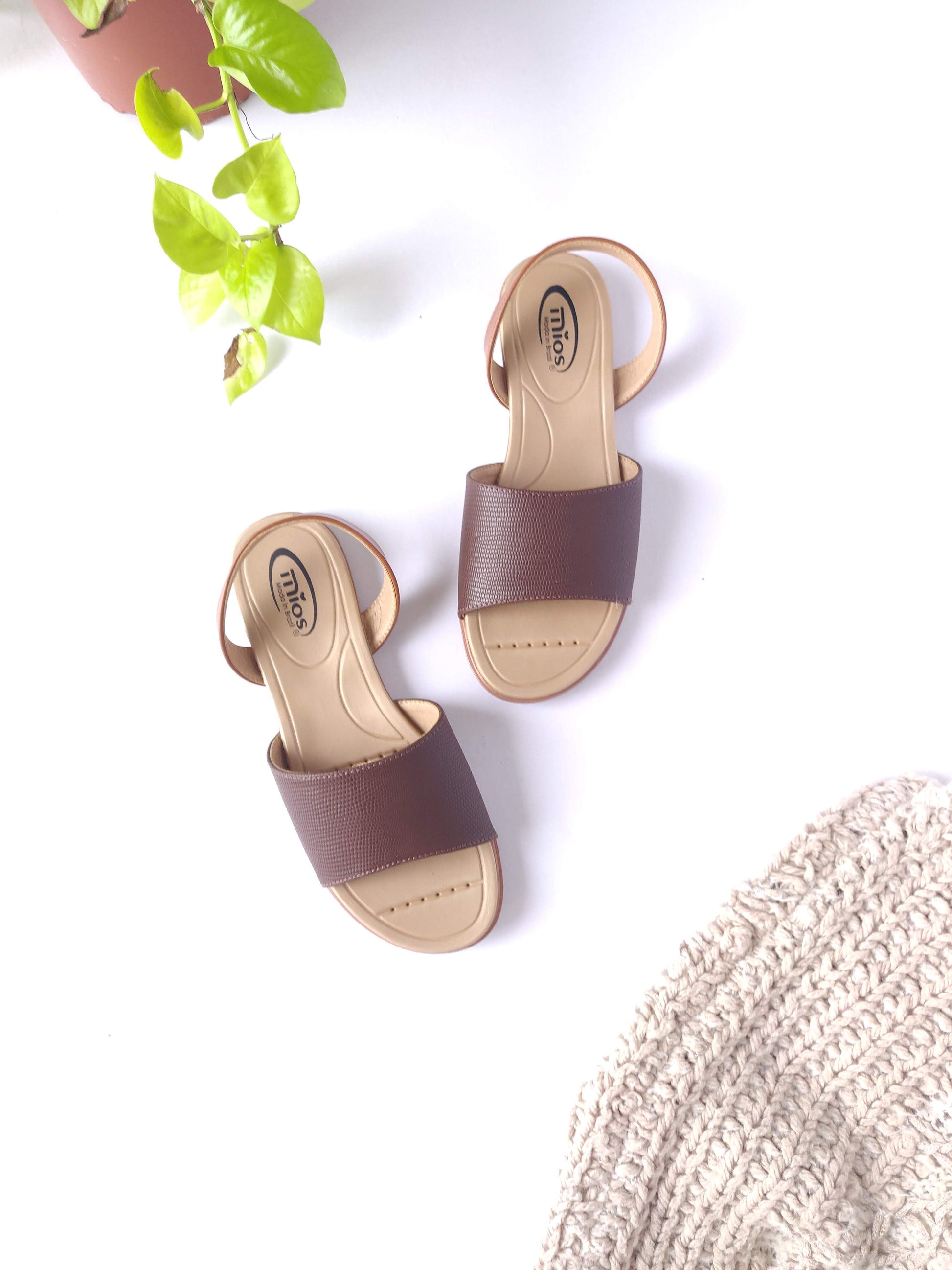 Sandalias bajas Café Mios