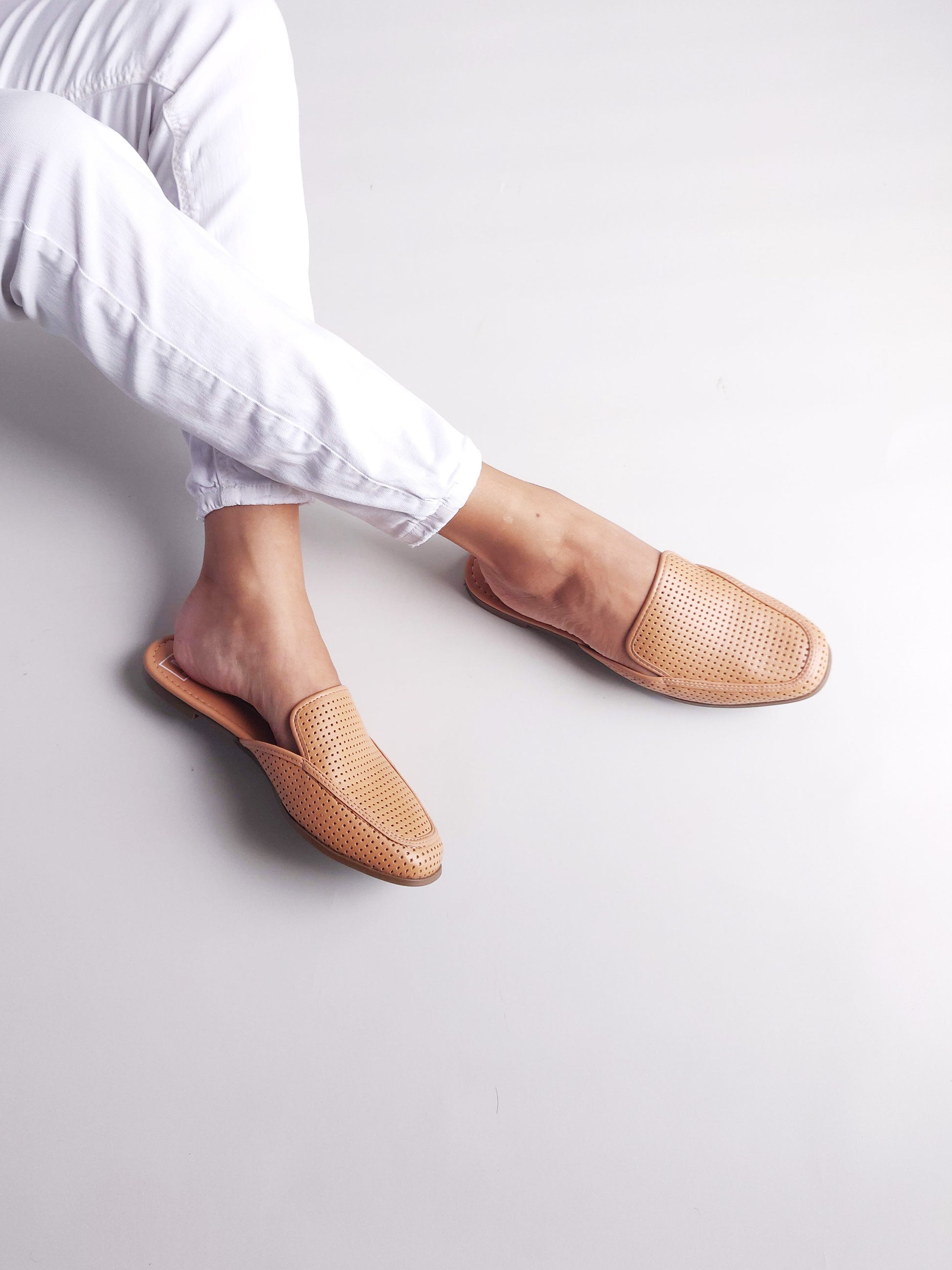 Mules camel Moleca